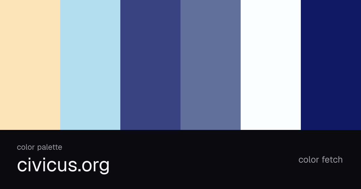 civicus.org color palette — Color Fetch