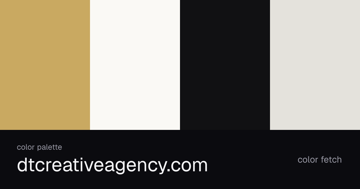 dtcreativeagency.com color palette — Color Fetch