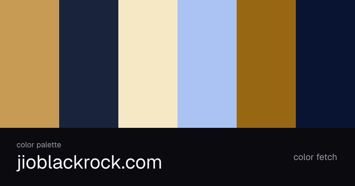 jioblackrock.com color palette — Color Fetch